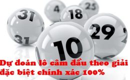 Dự đoán lô theo đầu câm theo kết quả giải đặc biệt