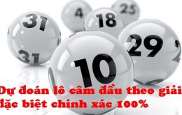 Dự đoán lô theo đầu câm theo kết quả giải đặc biệt