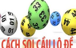 Soi cầu miền Bắc ngày mai