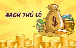 bạch thủ lô